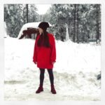 Suknelė džemperis CARUSEL