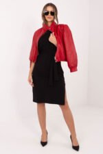 Daydress model 226291 Rue Paris - Image 2