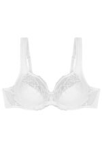 Soft model 229108 Triumph - Image 4