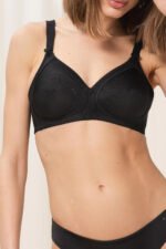 Soft model 229894 Triumph