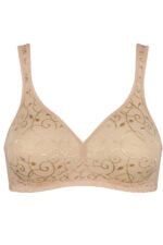 Soft model 230075 Triumph - Image 2