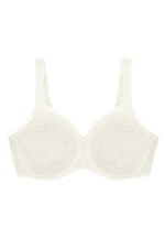 Soft model 230077 Triumph - Image 2