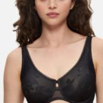 Soft model 230212 Triumph