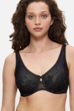 Soft model 230212 Triumph
