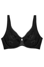 Soft model 230212 Triumph - Image 2