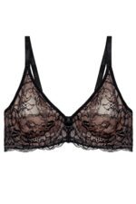 Soft model 230213 Triumph - Image 2