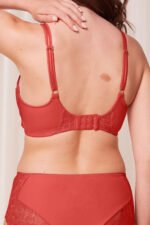 Soft model 230230 Triumph - Image 3