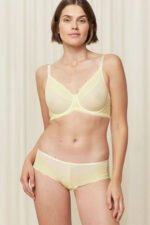 Soft model 230249 Triumph - Image 2