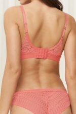 Soft model 230251 Triumph - Image 3